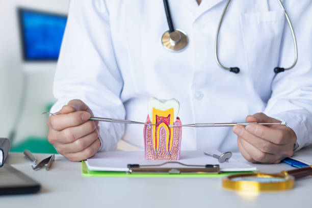Best Emergency Dental Care for Trauma or Injury in Redondo Beach, CA